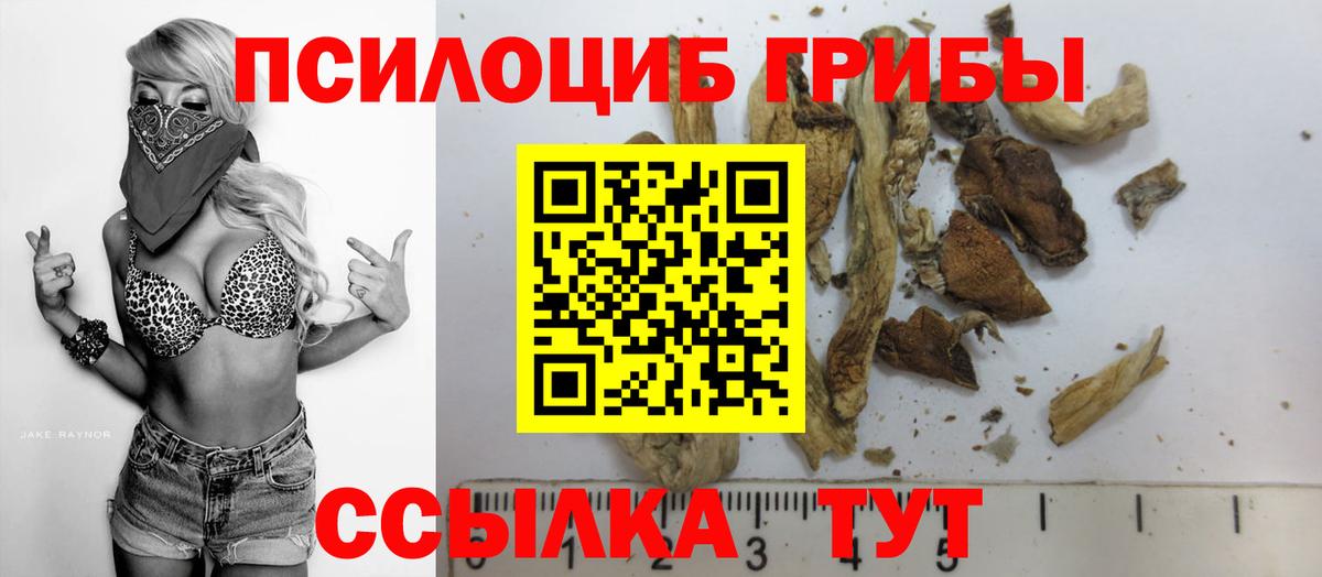 купить   Вход с VPN  Похвистнево  Галлюциногенные грибы Magic Shrooms 